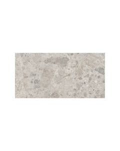 Ceppo Gris 60 x 120