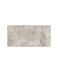 Ceppo Gris 60 x 30