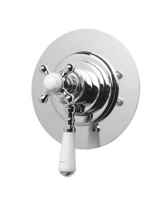 Concealed Dual Control Shower