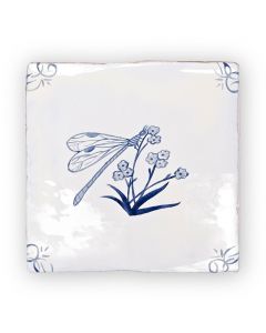 英语代尔夫特蜻蜓